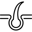 DA ĐẦU